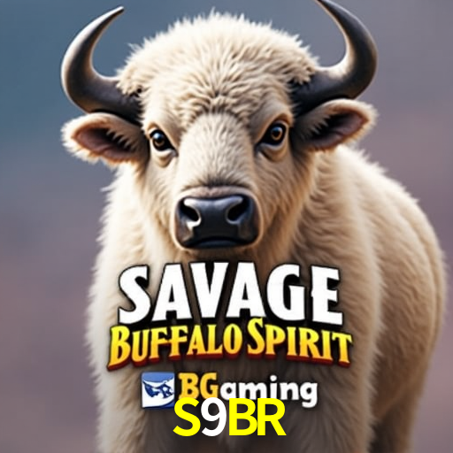 S9BR.Com